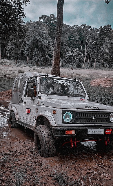 还是反击中 还是反击中