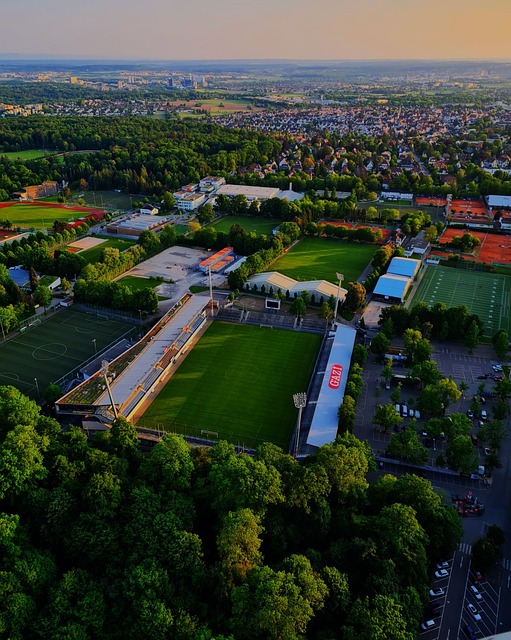 国际合作与 国际合作与